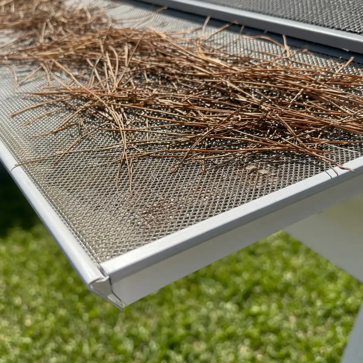 Do Gutter Guards Work in Newnan, GA?